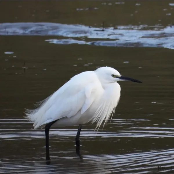 Groningen en omgeving