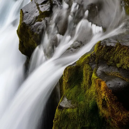 Private Group Van Remi