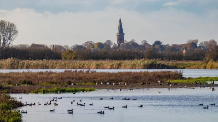 Zeeuws-Vlaamse vogels
