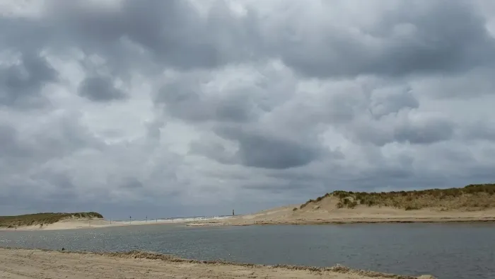 De Schoorlse Duinen