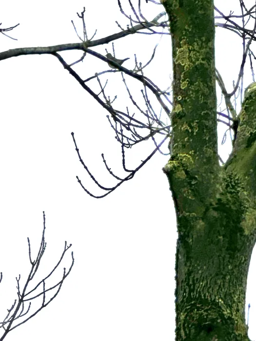 Unidentified sighting image