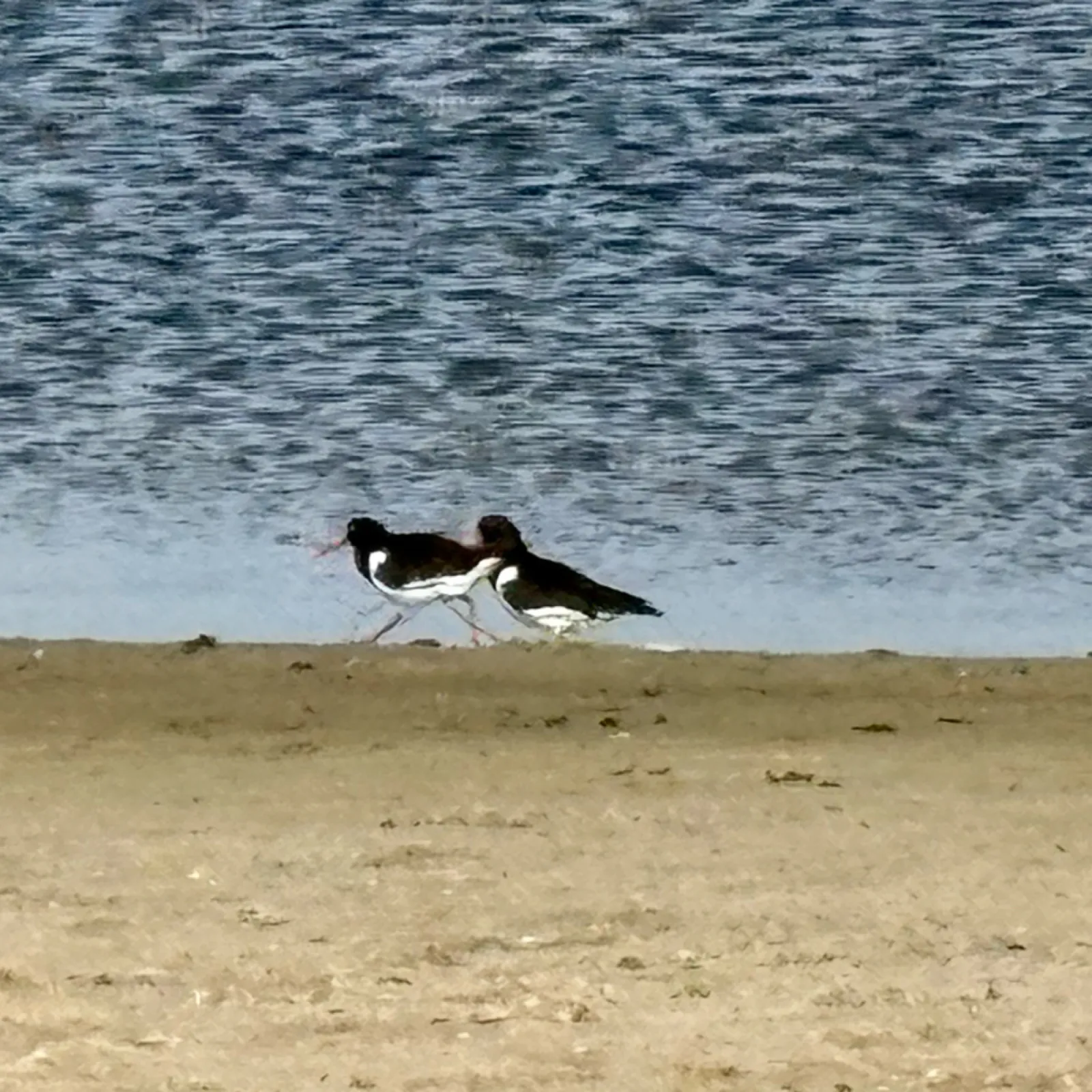 Unidentified sighting image