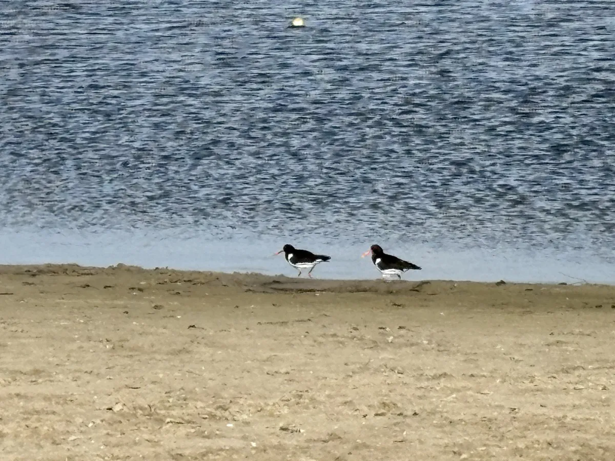 Unidentified sighting image