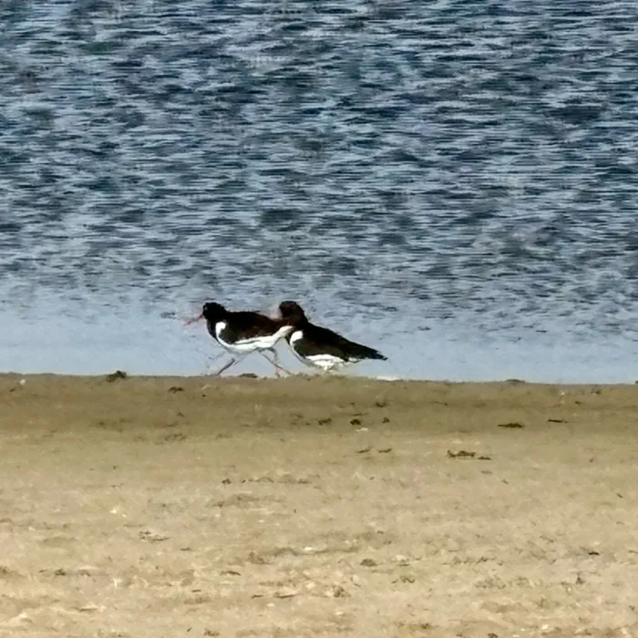 Unidentified sighting image