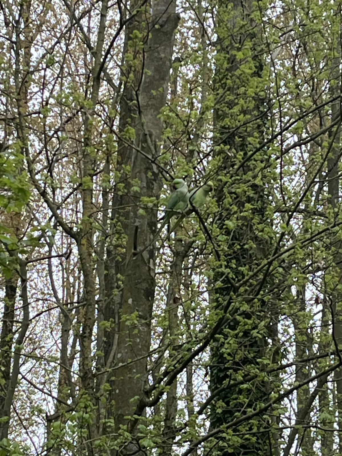 Unidentified sighting image