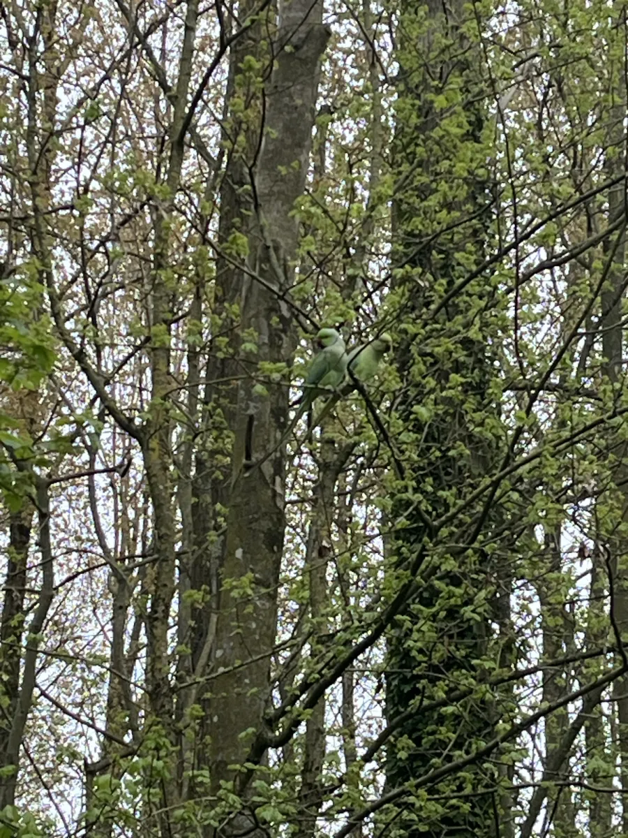 Unidentified sighting image