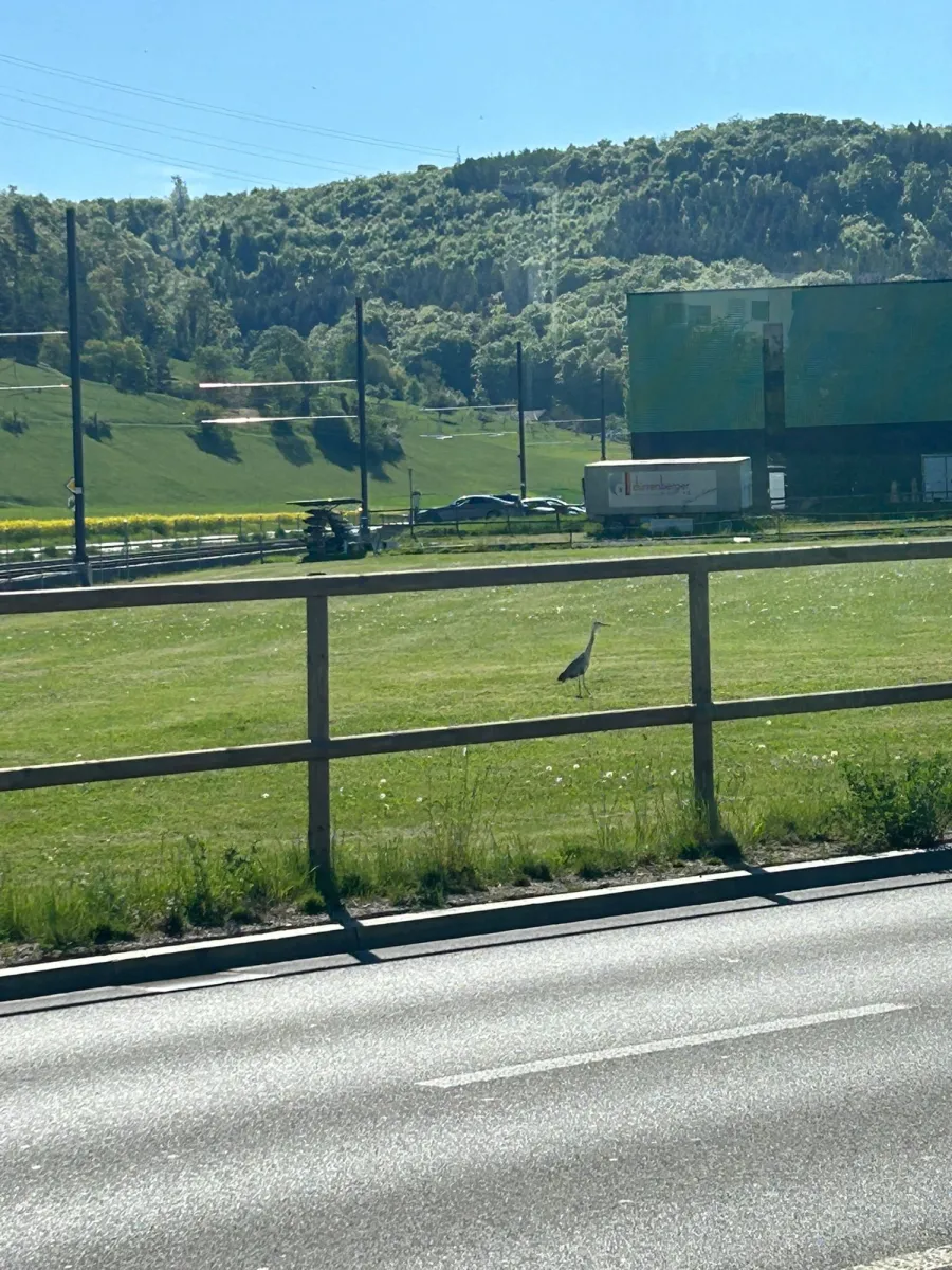 Unidentified sighting image
