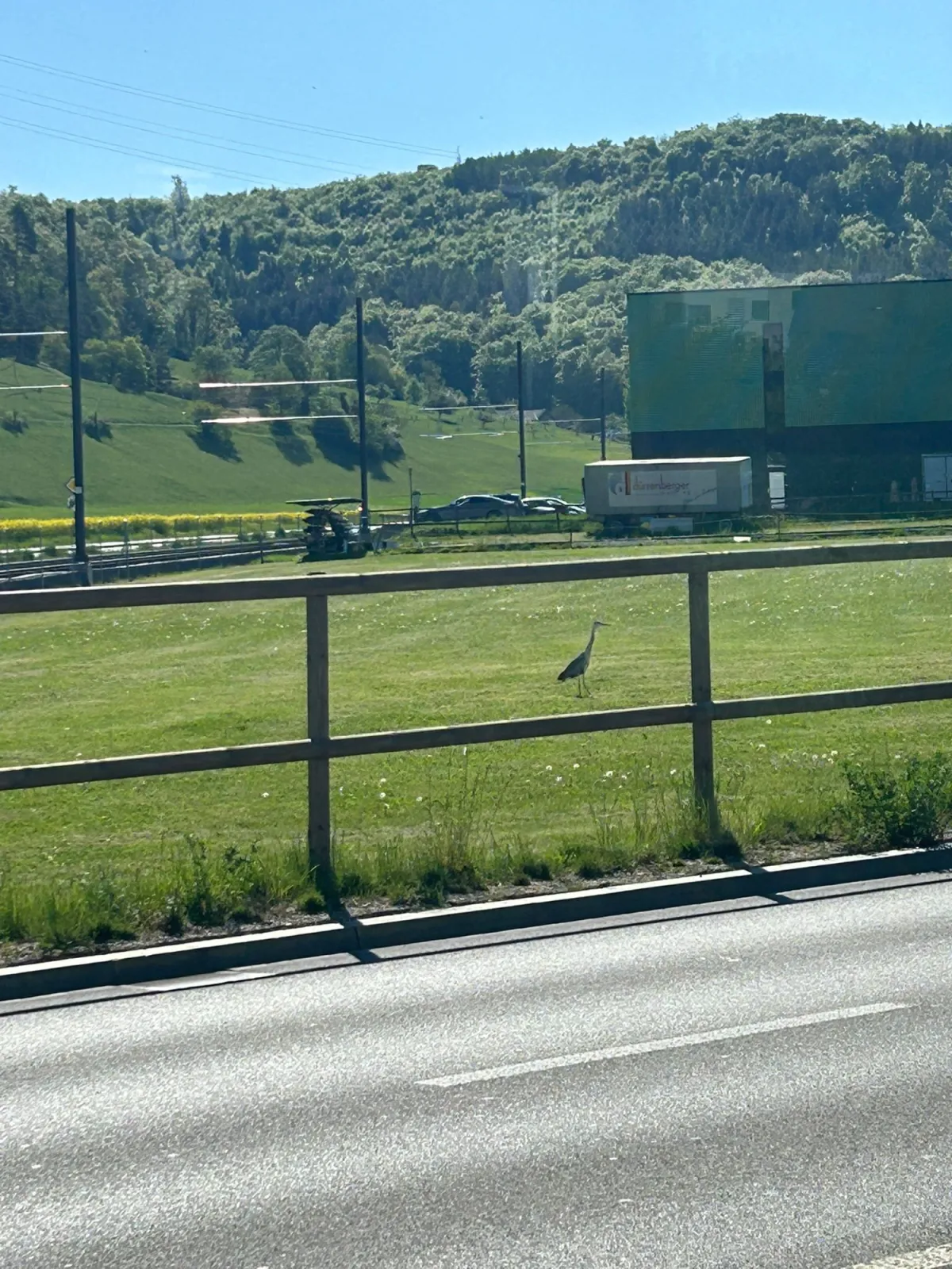 Unidentified sighting image