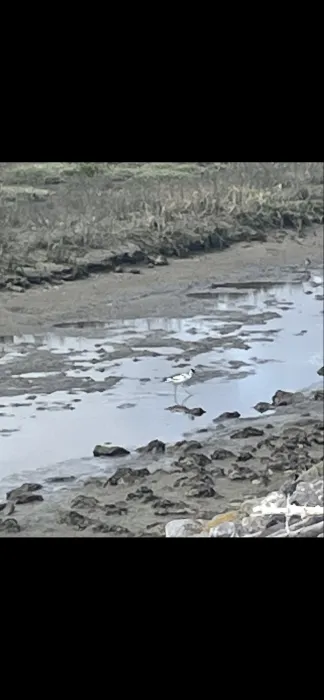 Unidentified sighting image