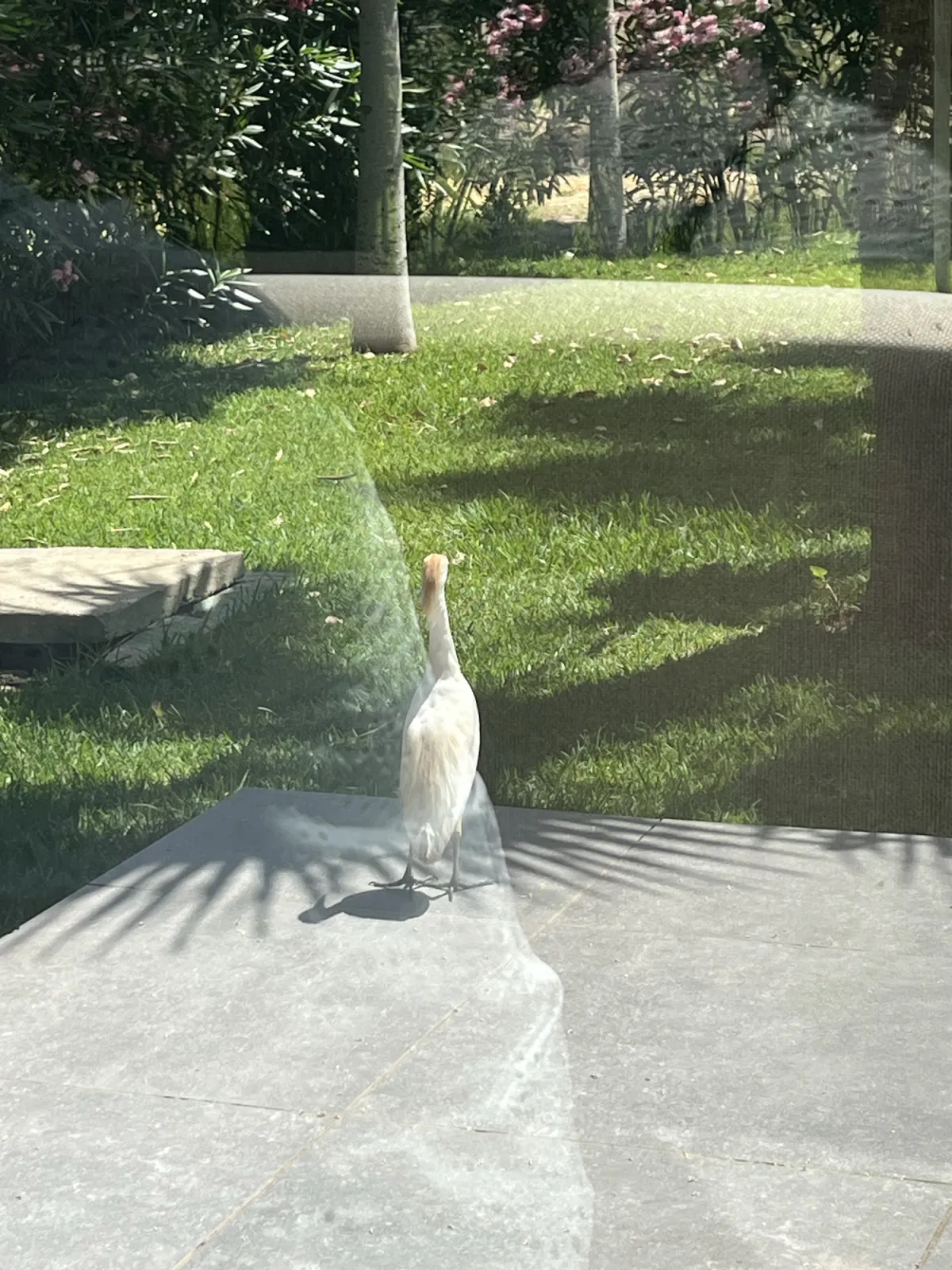 Unidentified sighting image