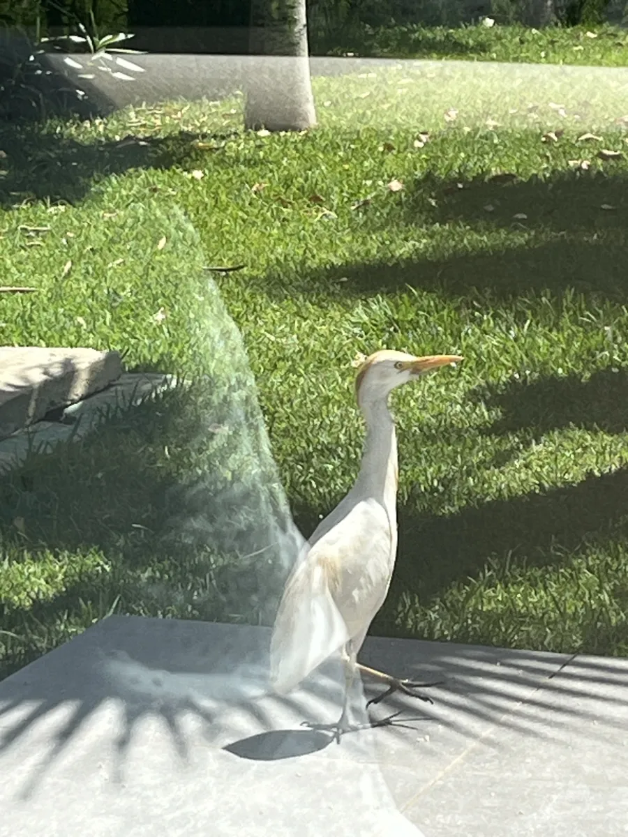 Unidentified sighting image