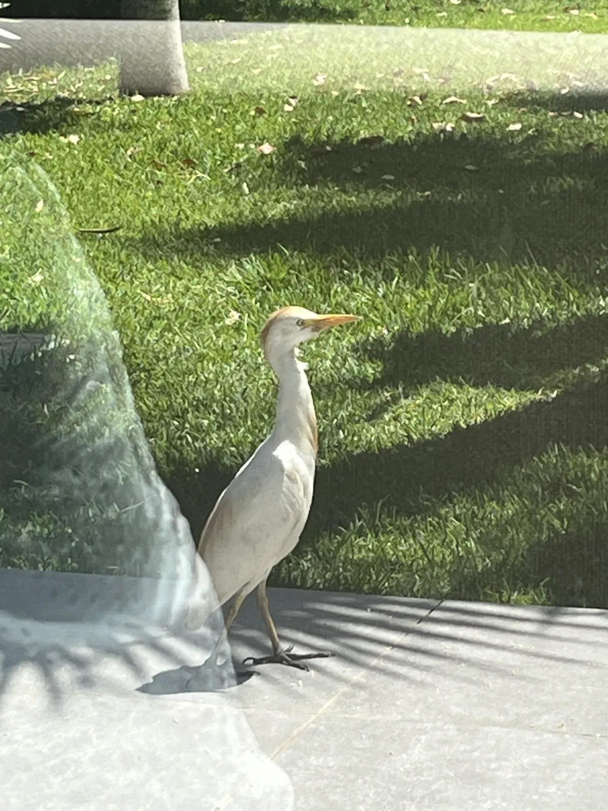 Unidentified sighting image