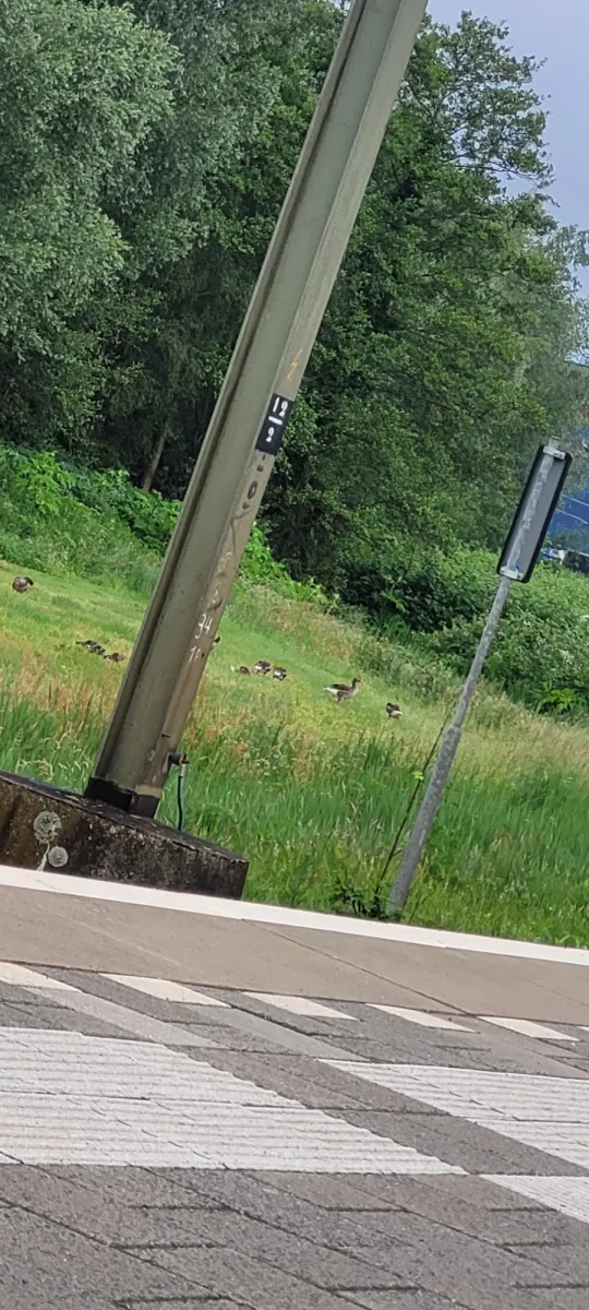 Unidentified sighting image