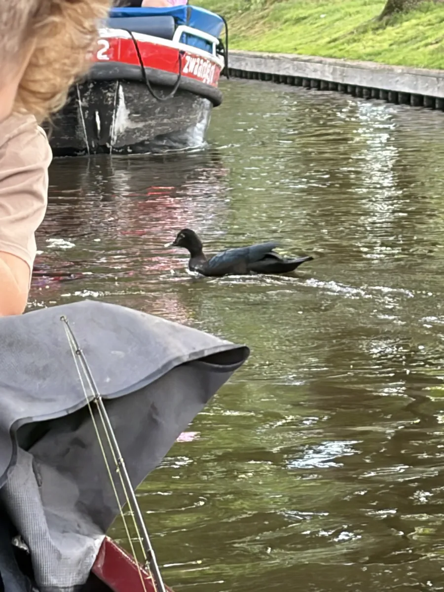 Unidentified sighting image