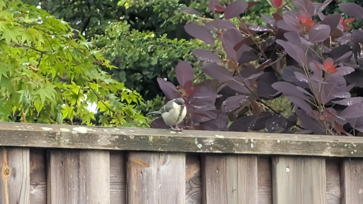 Unidentified sighting image