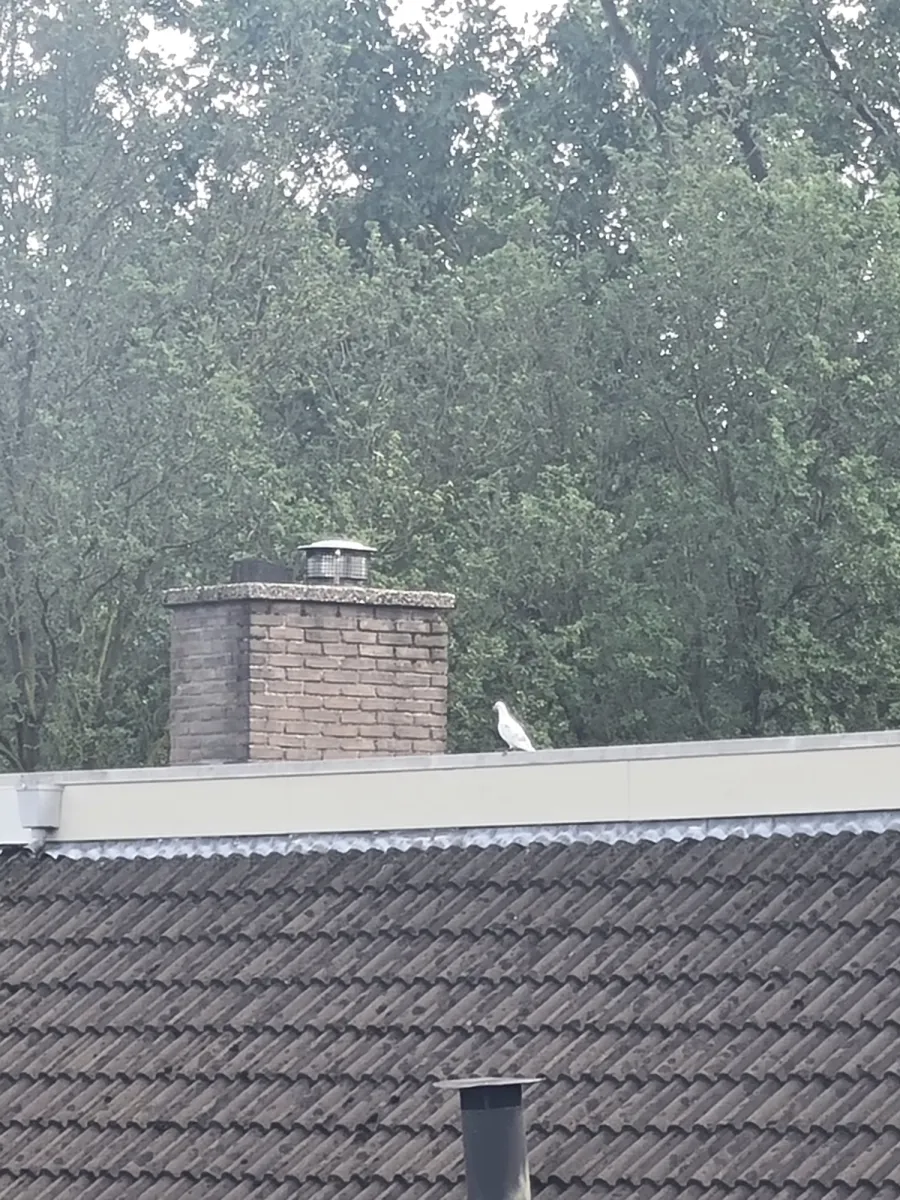 Unidentified sighting image
