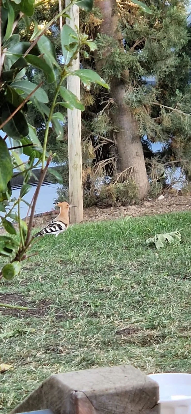 Unidentified sighting image