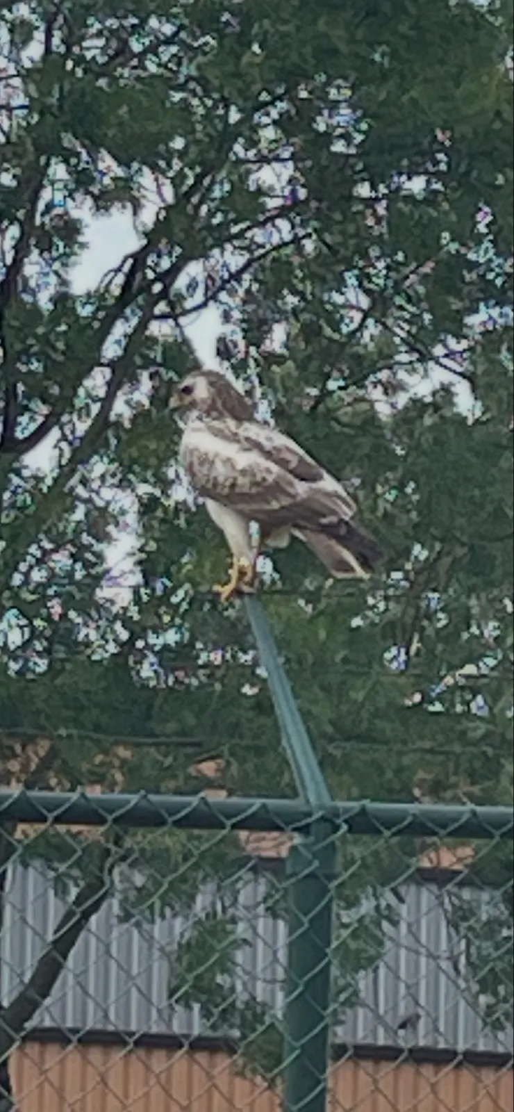 Unidentified sighting image
