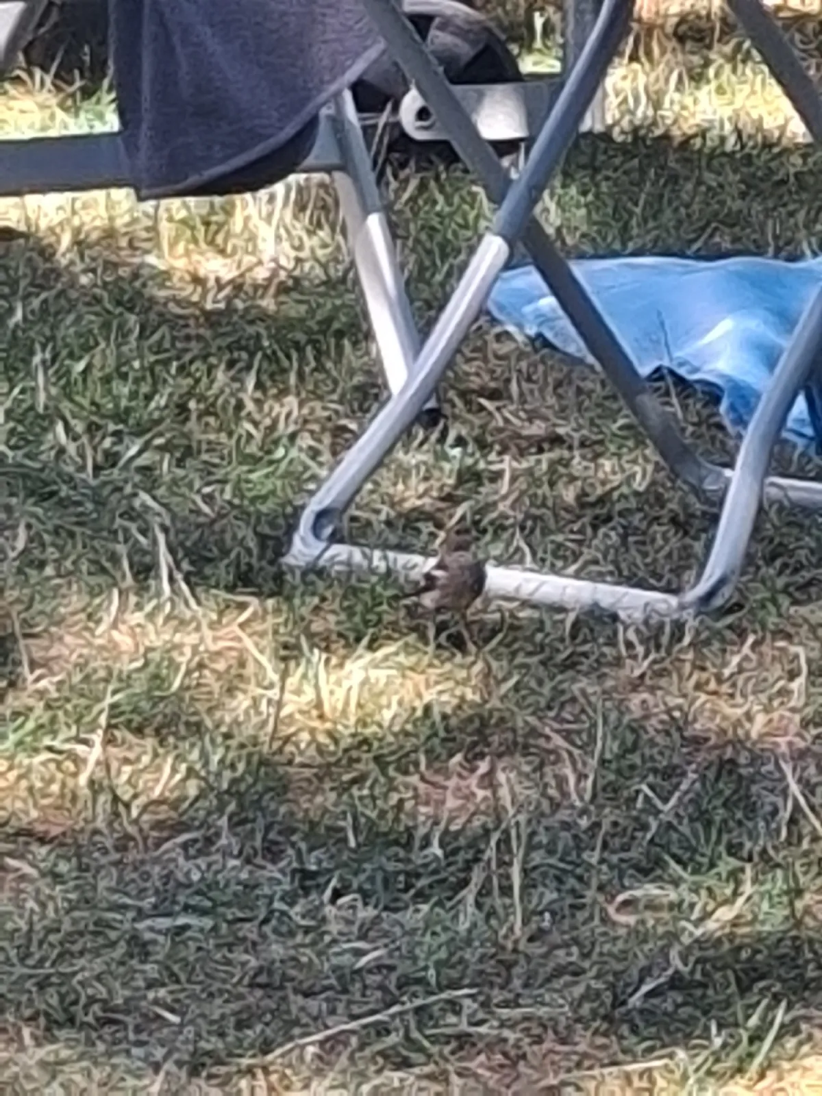 Unidentified sighting image