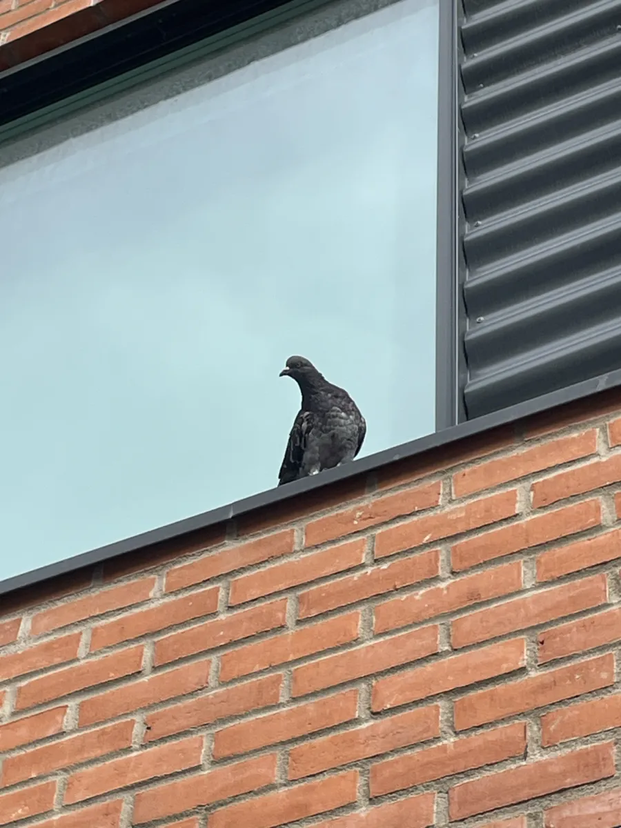Unidentified sighting image