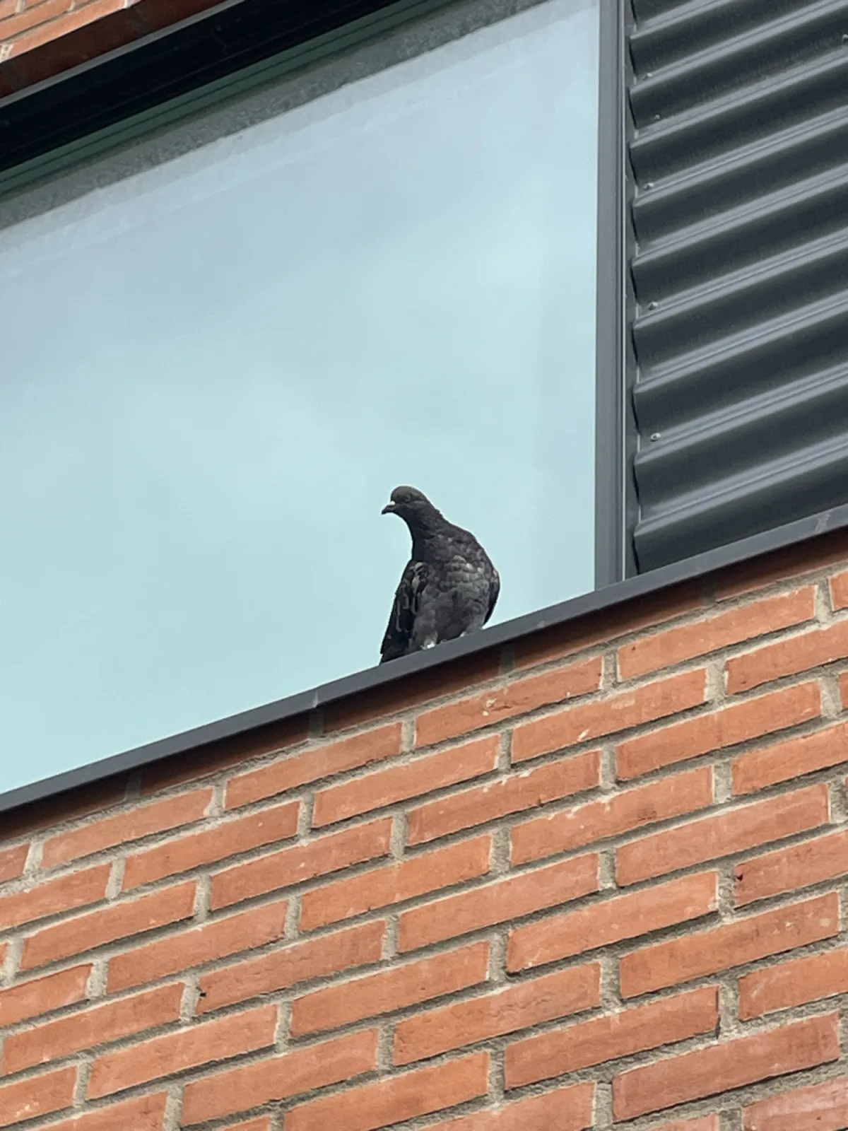 Unidentified sighting image